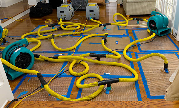 Professional Basement Flood Cleanup technician working in Eastsound, WA